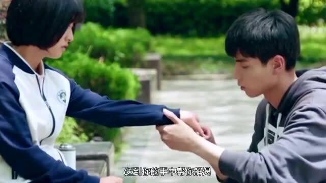 hahabet官网官方入口